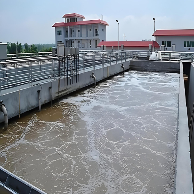 天然渾水的沉降可分為哪些？